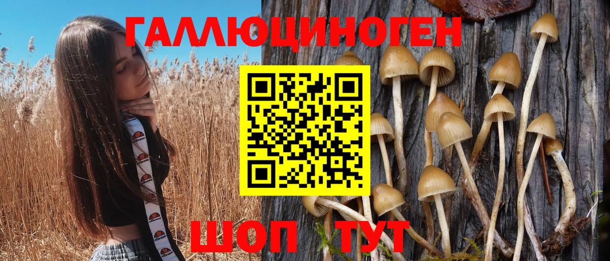 Псилоцибиновые грибы ЛСД Верхняя Пышма